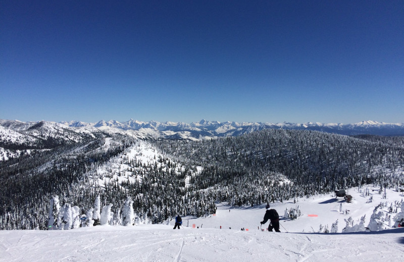 Skiing near The Duck Inn.