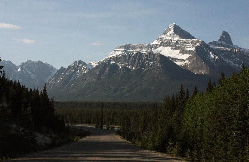 Mountain view at Sunwapta Falls Resort.