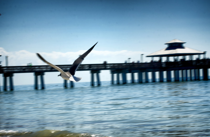 Fishing pier at Edison Beach House.