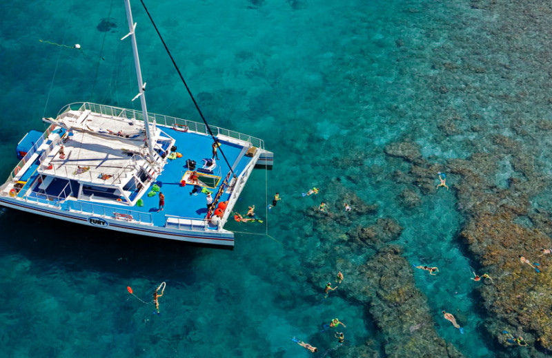 Snorkeling at The Southernmost House.