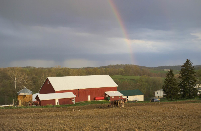 Amish country at Berlin Grande Hotel.