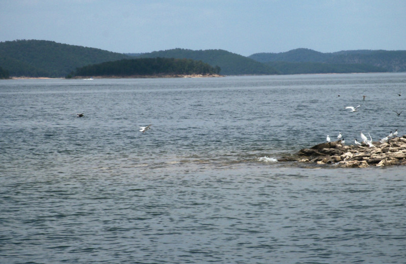 Lake at Hochatown Country Lodge.