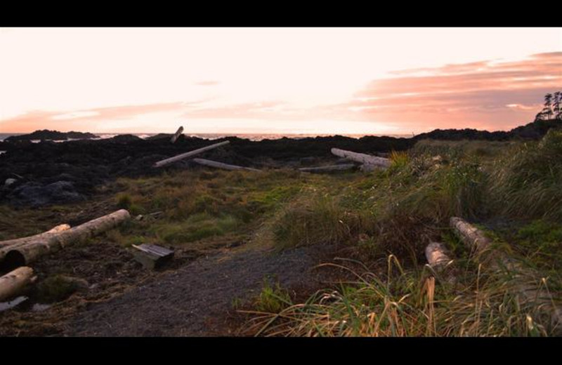 Black Rock Beach at sunset near Sutton Cottage.