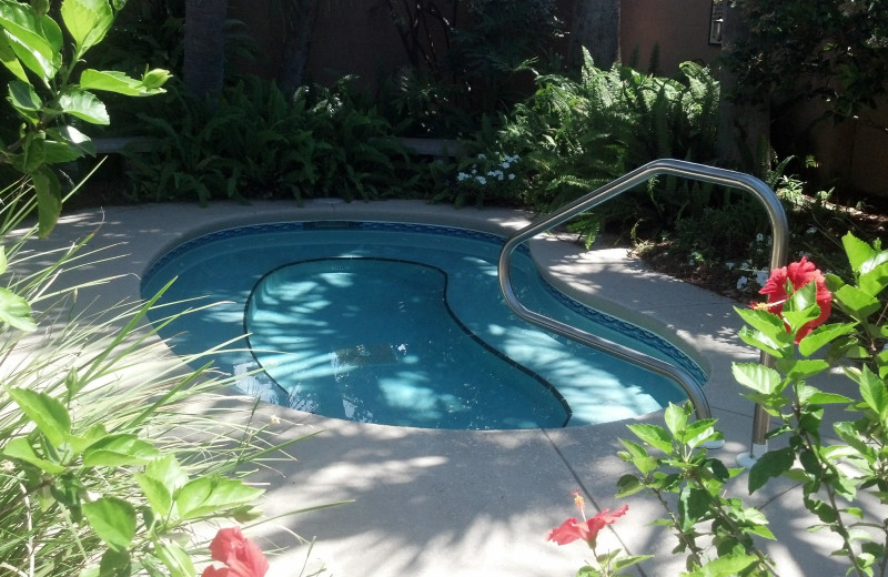 Outdoor pool at Wisteria Inn.