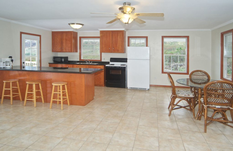 Rental kitchen at Hawaiian Vacation Rentals.