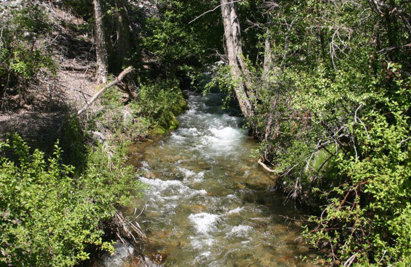 Creek Near The Sugar & Spice Ranch