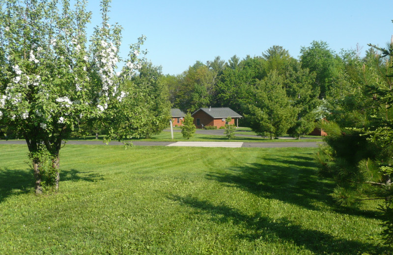 Grounds at Woodside Cottages of Bayfield.