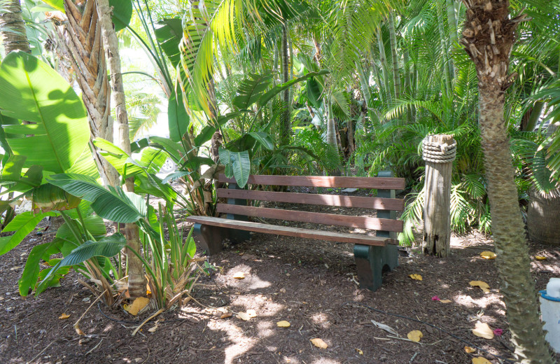 Bench at Lighthouse Resort Inn & Suites.