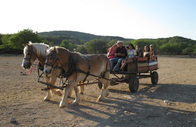 Wagon rides at Rancho Cortez.