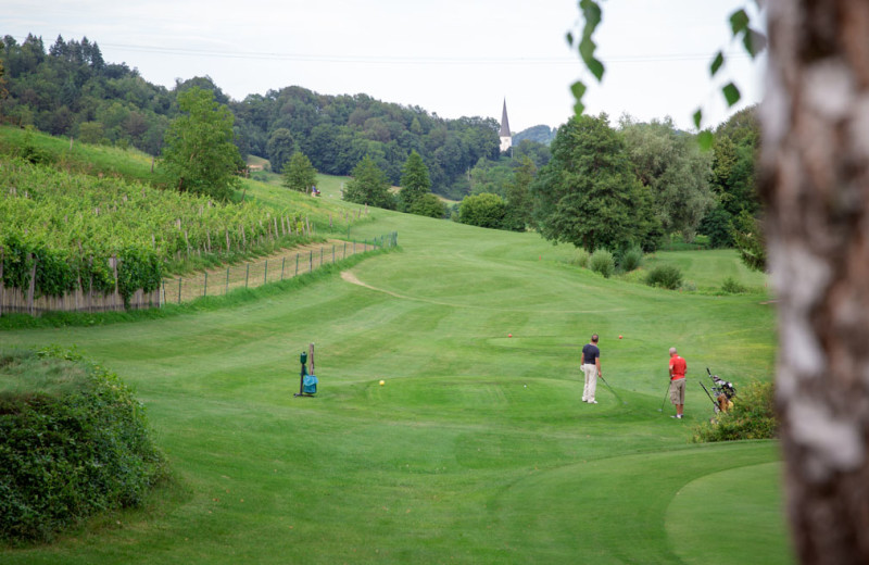 Golf near Glamping Olimia Adria Village.