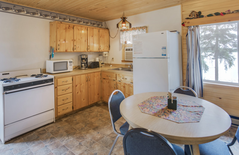 Cabin kitchen at Twin Springs Resort.