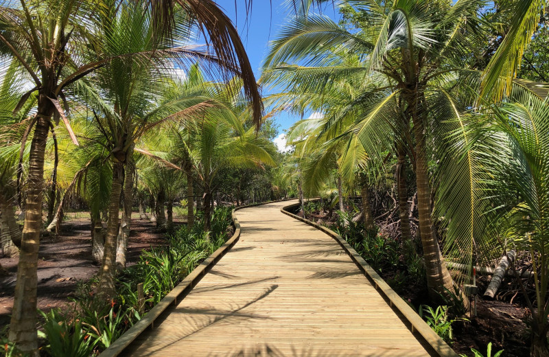 Boardwalk at Bocas Bali Resort.