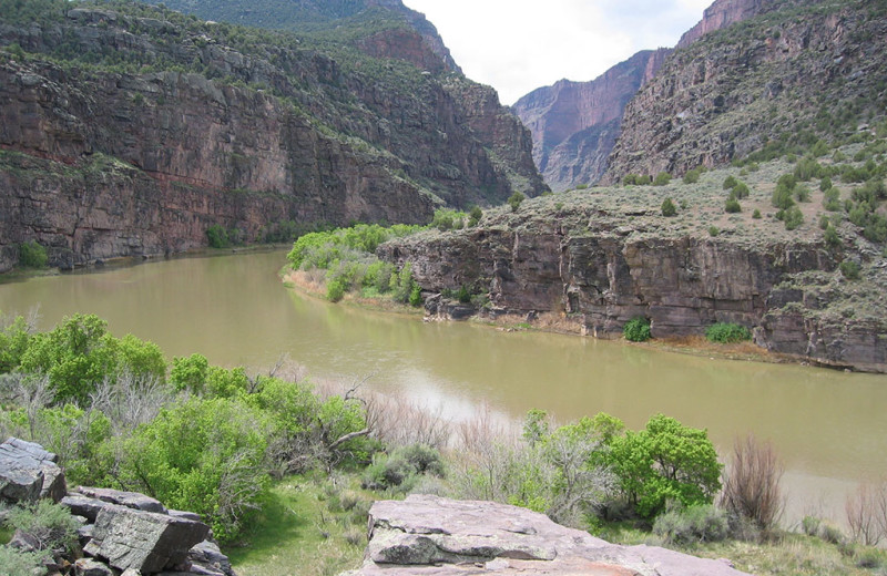 River at Wild Skies Cabin Rentals.