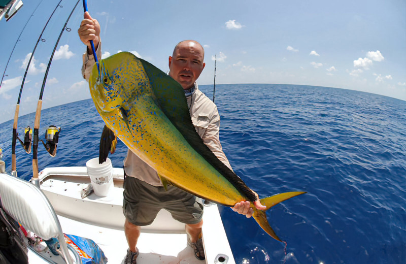 Fishing charters near Marco Escapes.