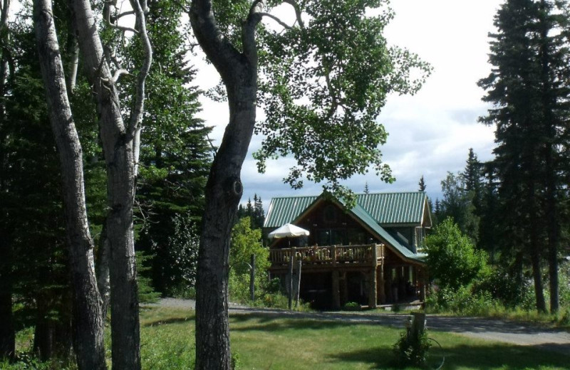 Exterior view of Hungry Moose Bed and Breakfast.