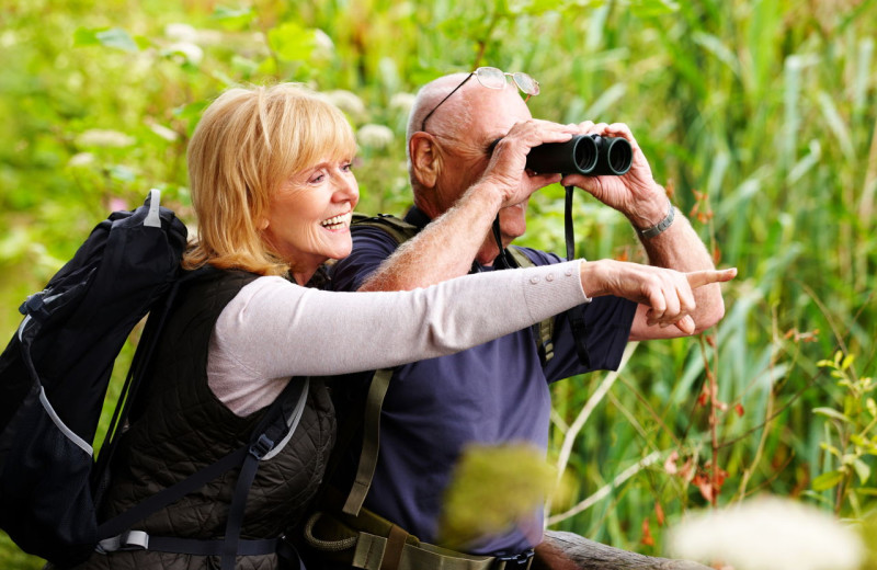 Birding at Arrowhead Pine Rose Cabins.