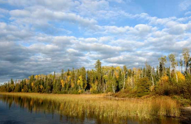 The Lake at Makokibatan Lodge