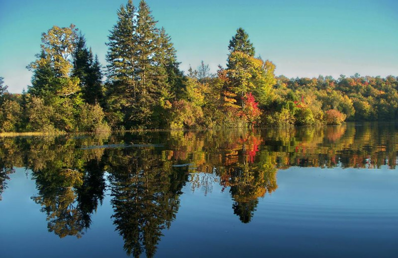 Lake view at Northern Lights Resort.