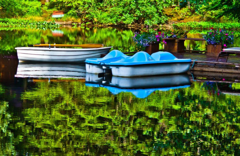 Pedal boats on the pond at A Pearson's Pond Luxury Suites and Adventures.