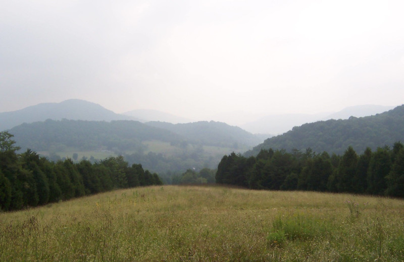 Scenic view at Creekside Resort.