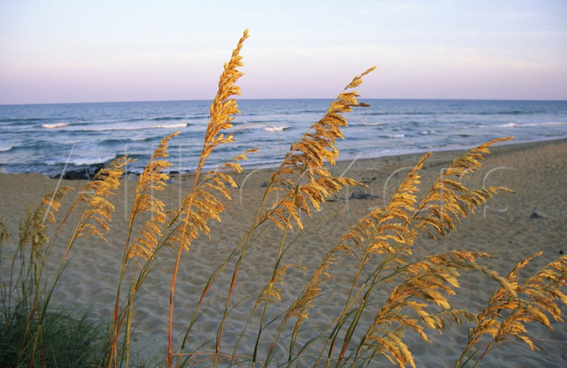 Beach at Islander Hotel & Resort.