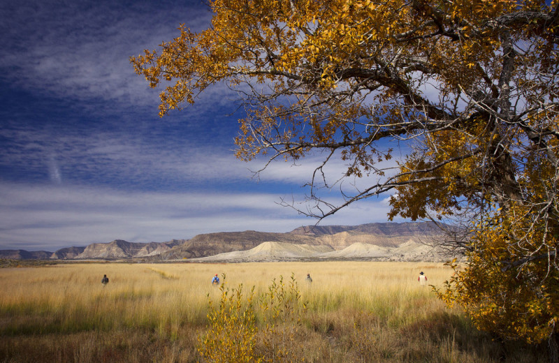 Hunting at Castle Valley Outdoors.