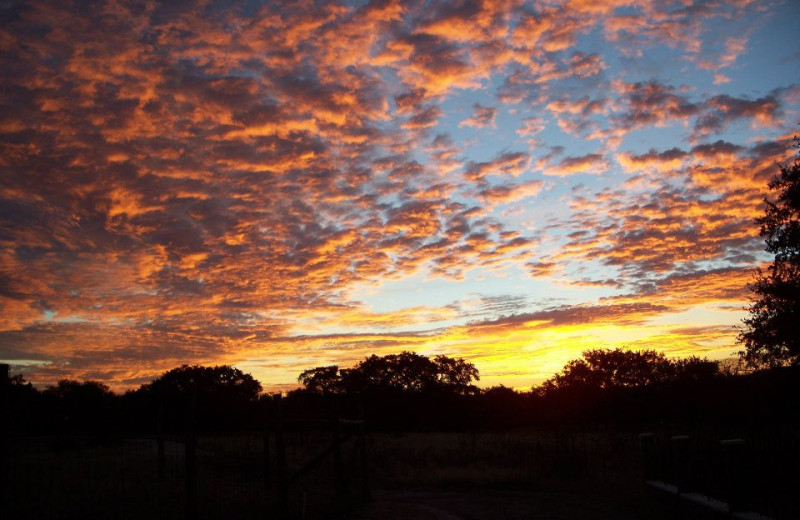 Sunset at Roddy Tree Ranch.