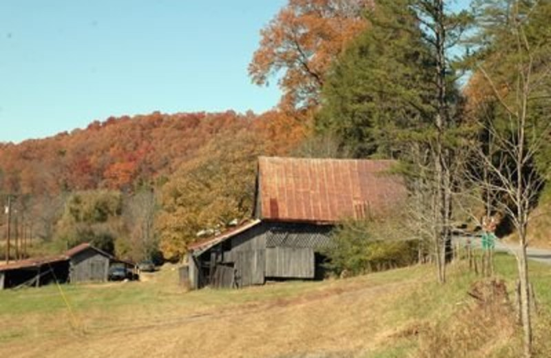 Exterior View at JP Ridgeland Cabin Rentals