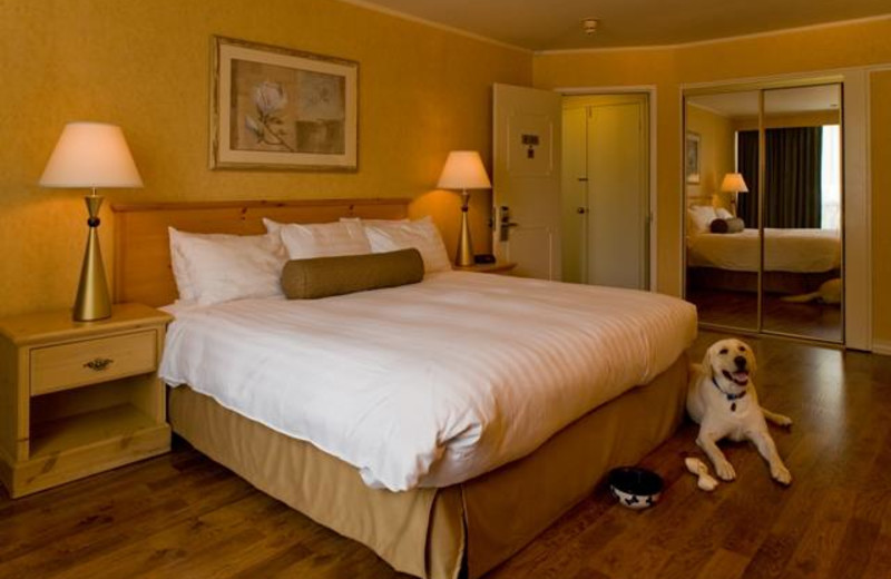 Guest room at Flamingo Conference Resort and Spa.