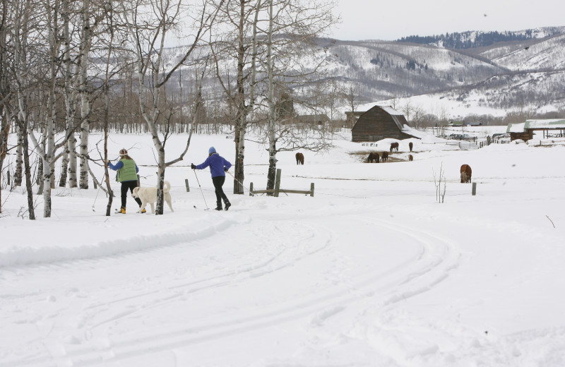 Winter skiing at The Home Ranch.