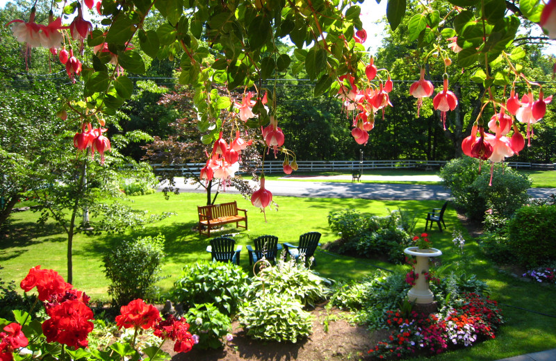 The Grounds at Glen Falls House