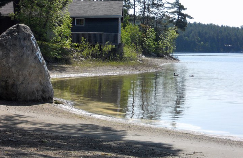 The Beach at Sand Beach Lodge