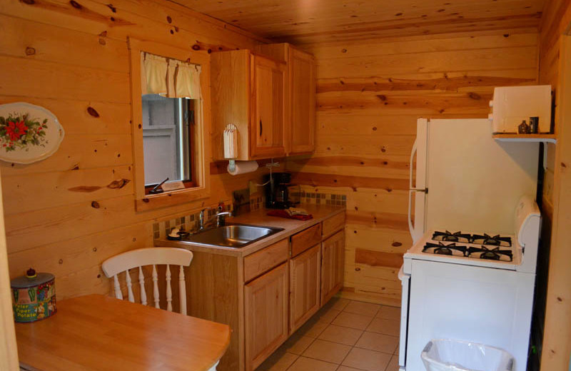 Cabin kitchen at Backroads Inn and Cabins.