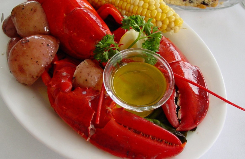 Dining at Bar Harbor Inn & Spa.