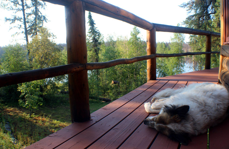 Cabin deck at Churchill River Canoe Outfitters.