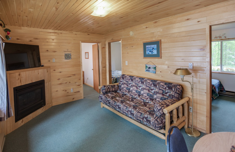 Cabin living room at Twin Springs Resort.
