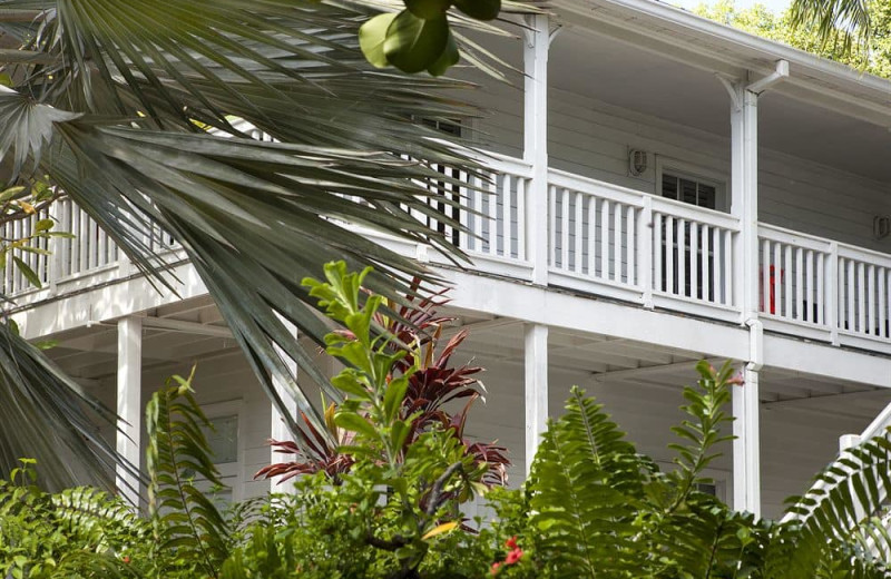Exterior view of The Paradise Inn.