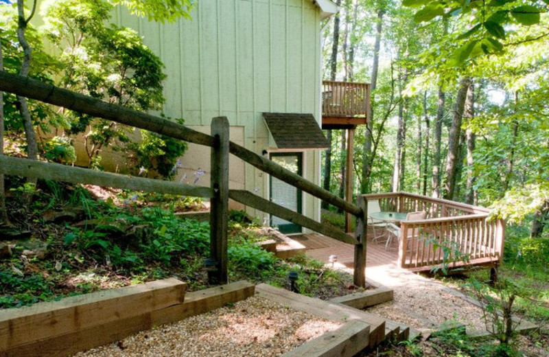 Pathway at Mountain Top Lodge at Dahlonega.