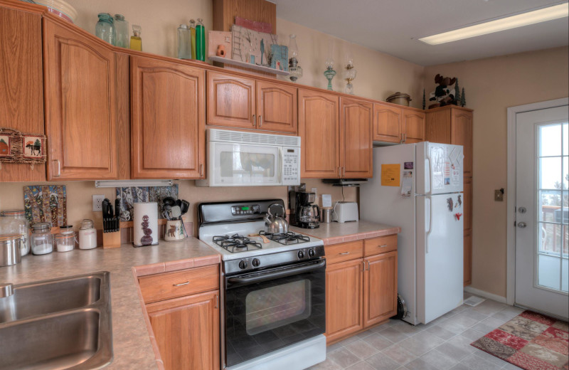 Cabin kitchen at Black Wolf Lodging.