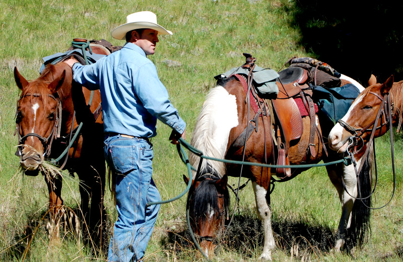 Horseback riding at Rocky Mountain Springs Lodge.