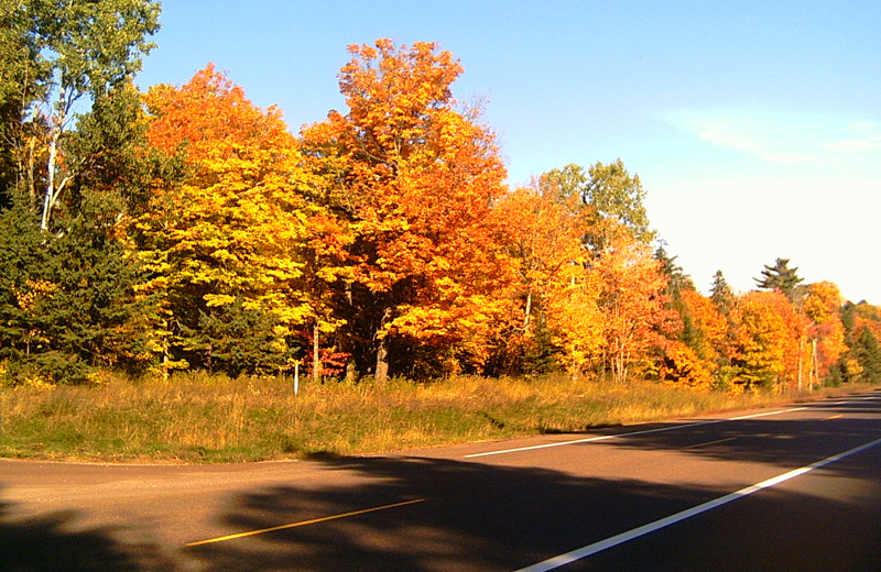 Fall colors at Wind Drift Resort.