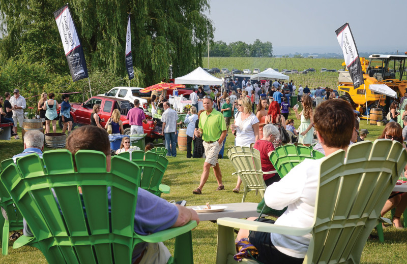 Music festival near Vine Ridge Resort.