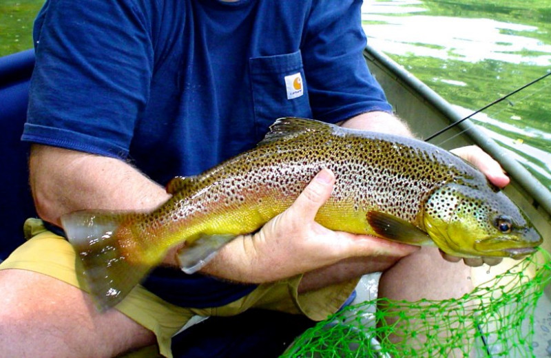 Big catch at Lindsey's Rainbow Resort.