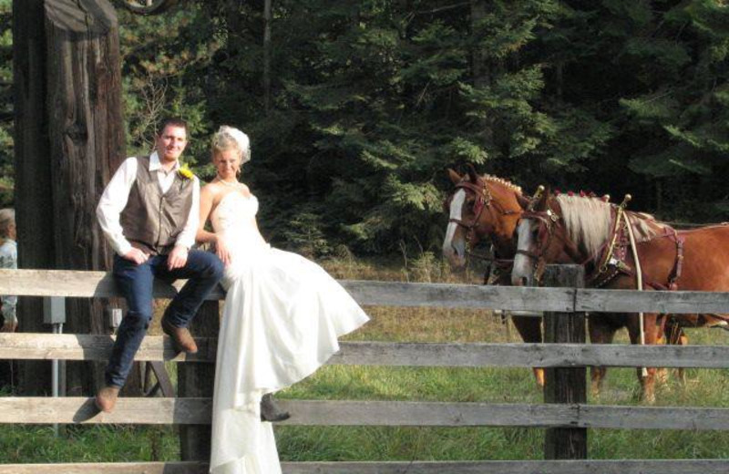 Wedding at Western Pleasure Guest Ranch.