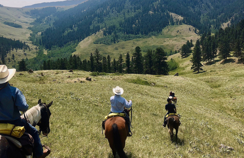 Trail riding at Paradise Guest Ranch.