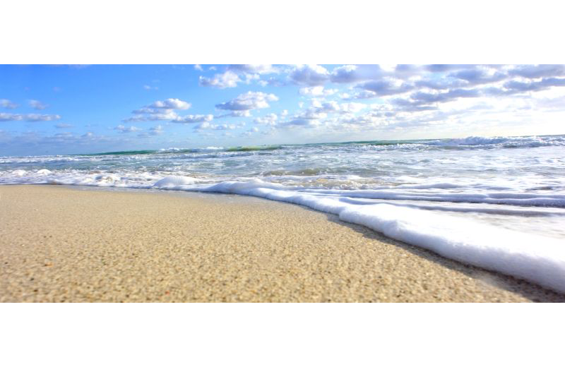 Beach at Hotel St. Augustine.