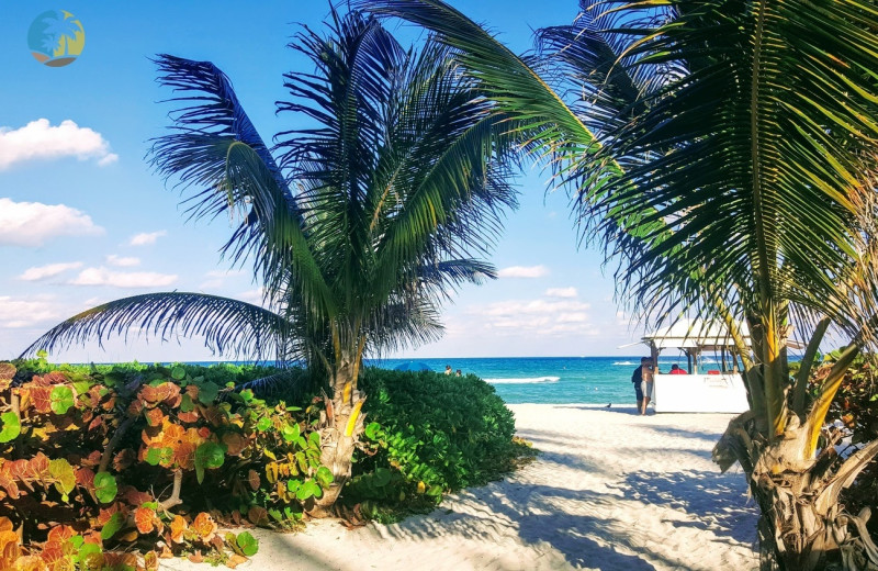 Beach at HORA Vacation Rentals.
