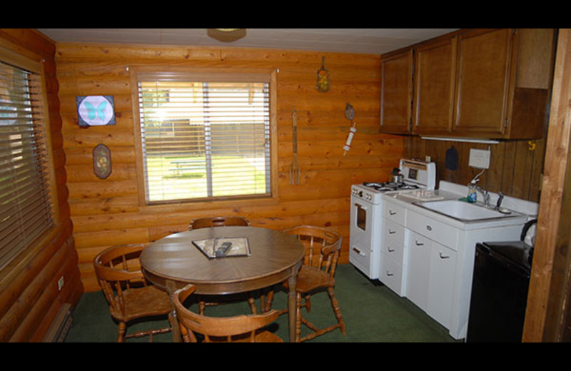 Cabin kitchen at Sourdough Lodge.