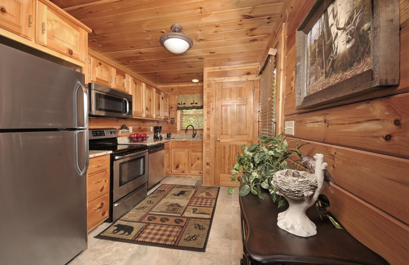 Cabin kitchen at Outrageous Cabins LLC.