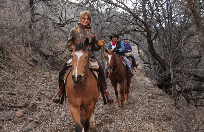 Horseback riding at Circle Z Ranch.